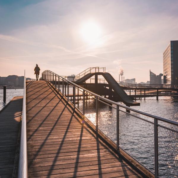 The Copenhagen harbour is clean enough to swim in