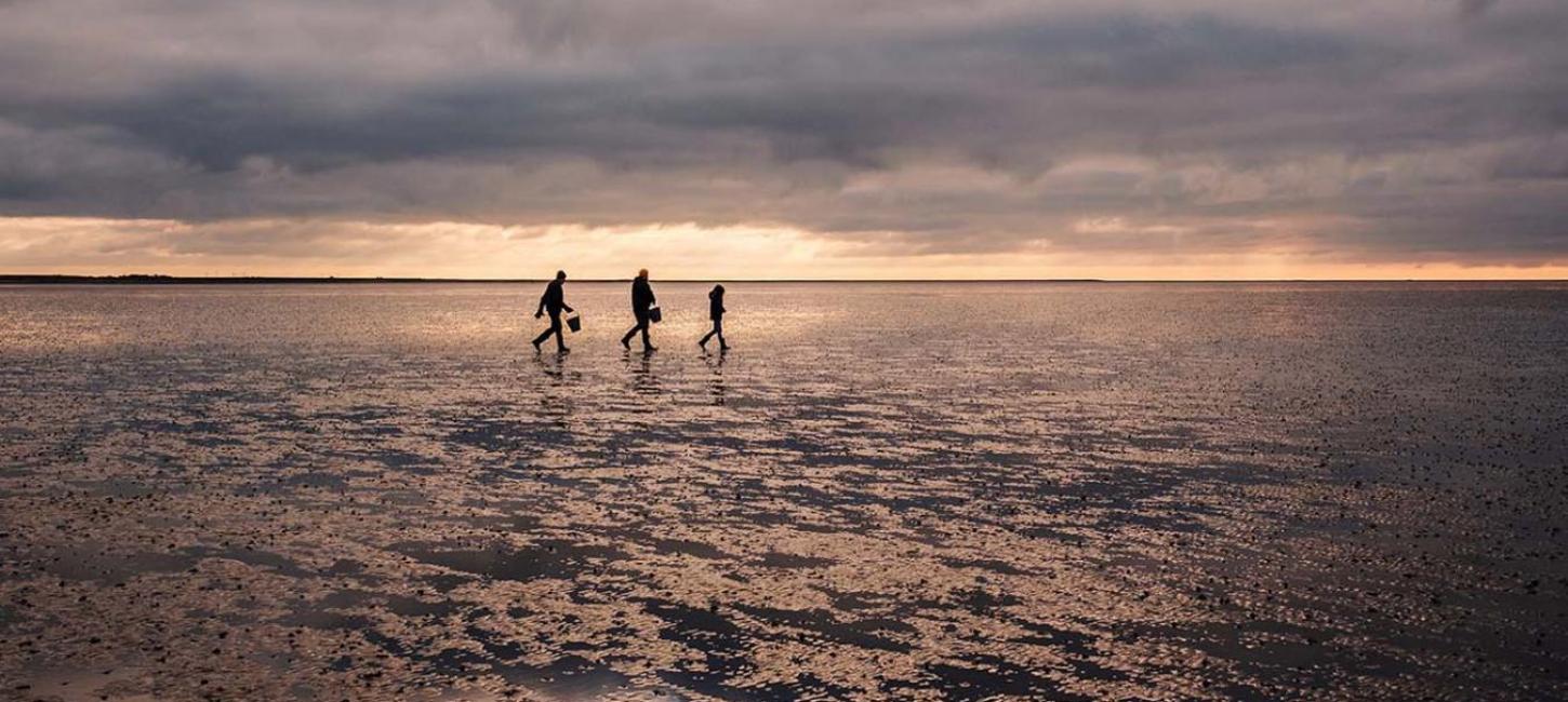 Das Weltnaturerbe Wattenmeer an der Süddänischen Nordsee