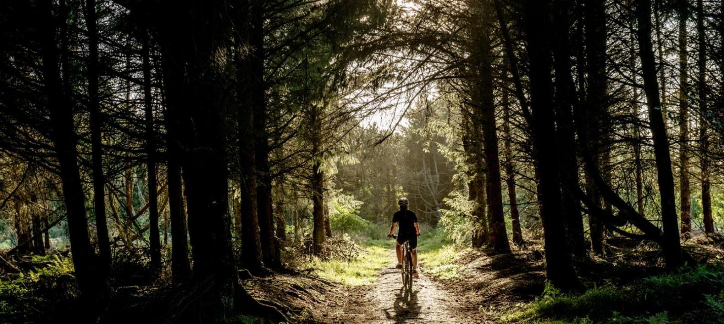 Testa mountainbike i Nordjyllands vackra skogar