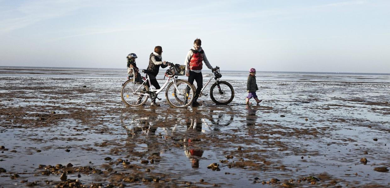 Family at Wadden Sea with Bikes