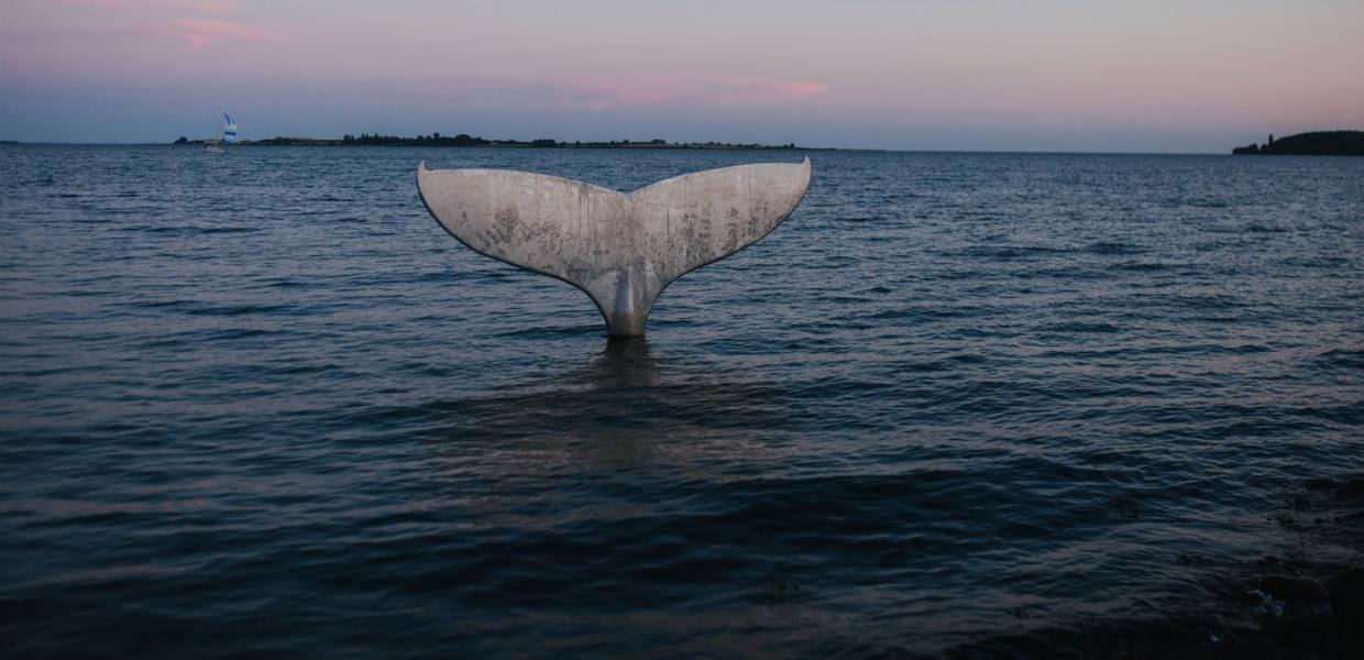 Fake whale tail in Faaborg Harbour Bath, Fyn