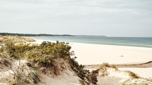 The beach in Hornbaek is one of Denmark's best beaches
