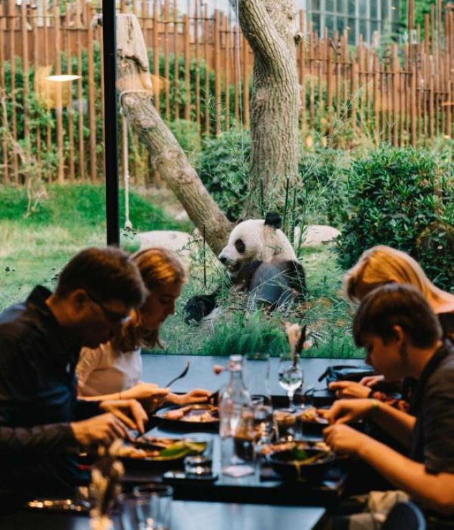 Restaurant mit Aussicht zum Pandagehege im Zoo Kopenhagen