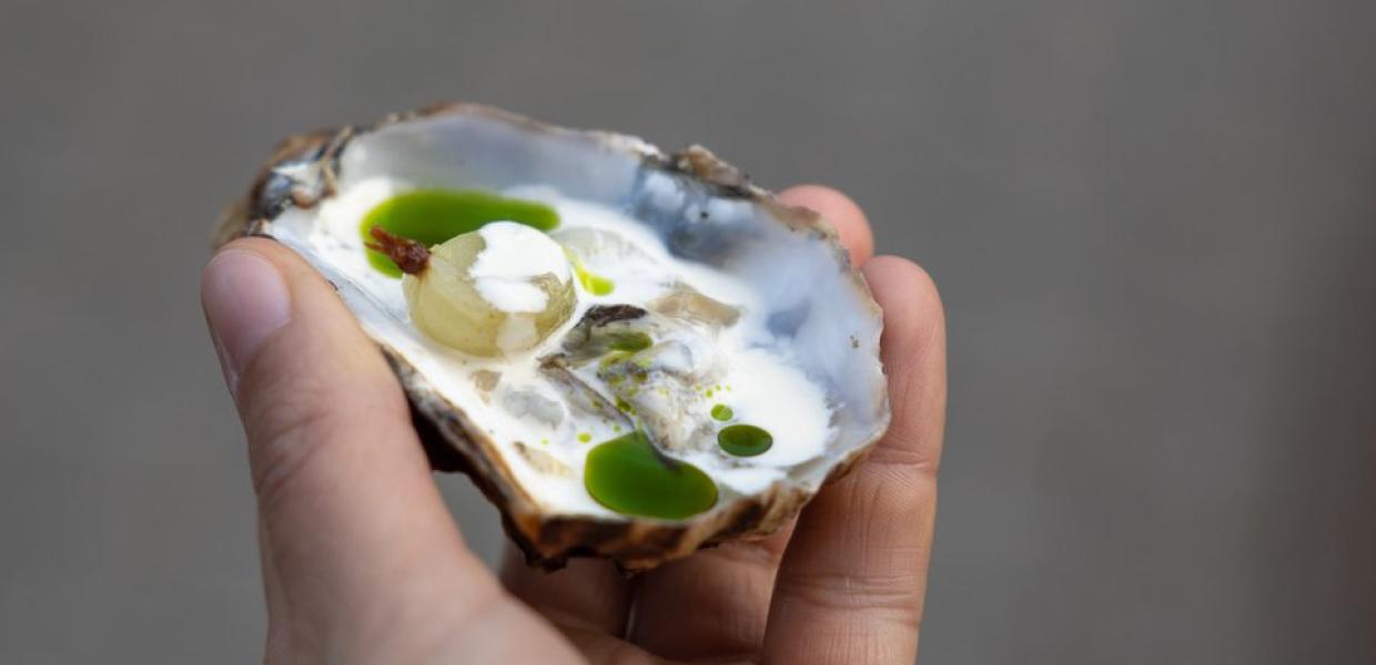 Iemand houdt een verse oester vast op Tønder, in Denemarken