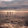 Das Weltnaturerbe Wattenmeer an der Süddänischen Nordsee