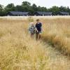 Children walking in a field close to a summer house