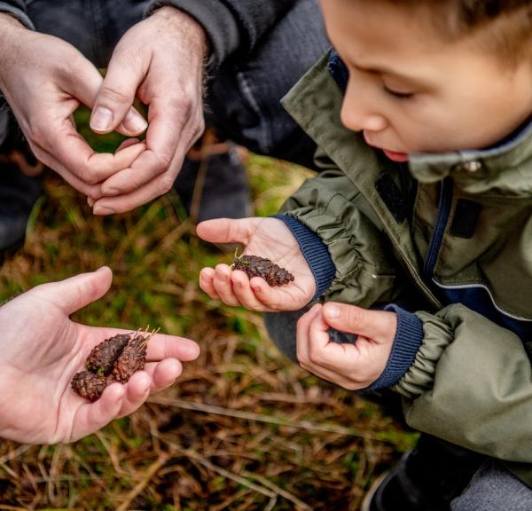 Family in forest of Ho Klitplantage near Blåvand, West Jutland