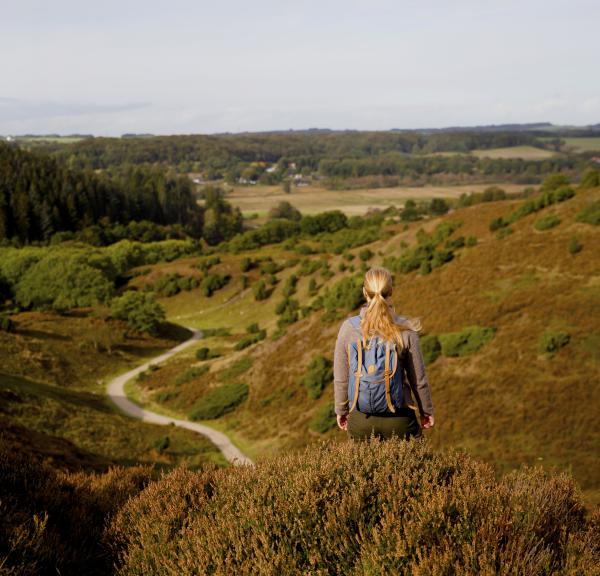 Person hiking in Rebild Bakker Park, North Jutland