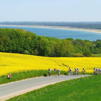 Fahrradfahren in der schönen Landschaft von Westseeland an der Dänischen Ostsee