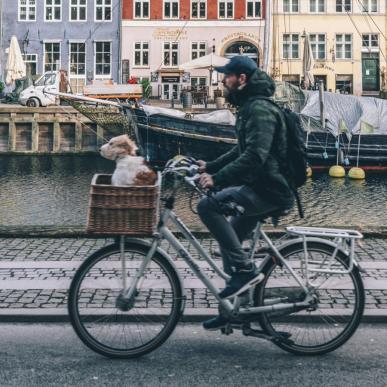 A man rides a bike in Nyhavn, Copenhagen, with a dog in his bike basket