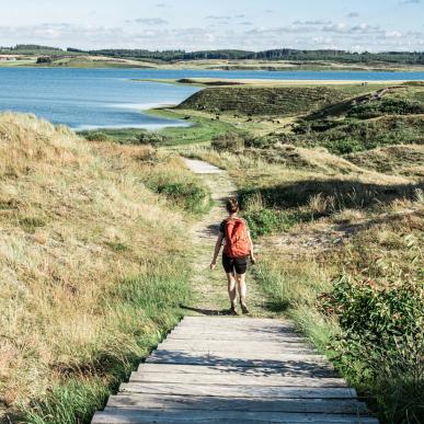 Wandelvakantie? Ontdek Thy Nationalpark in Denemarken