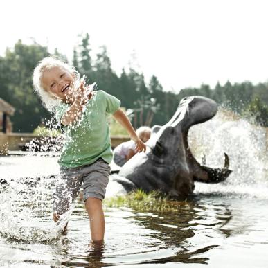 Barn leker i vann ved Knuthenborg Safaripark, Danmark