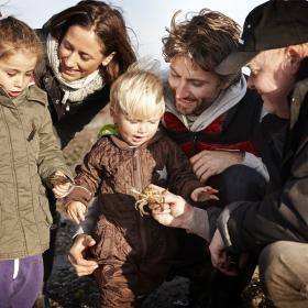 Family at Wadden Sea with Crab