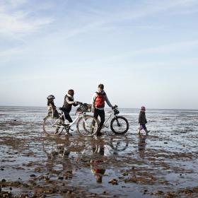 Family with bikes in the Wadden Sea 