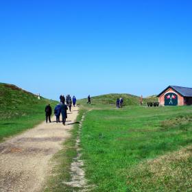 Leute spazieren auf der Insel Mandø  in Dänemark