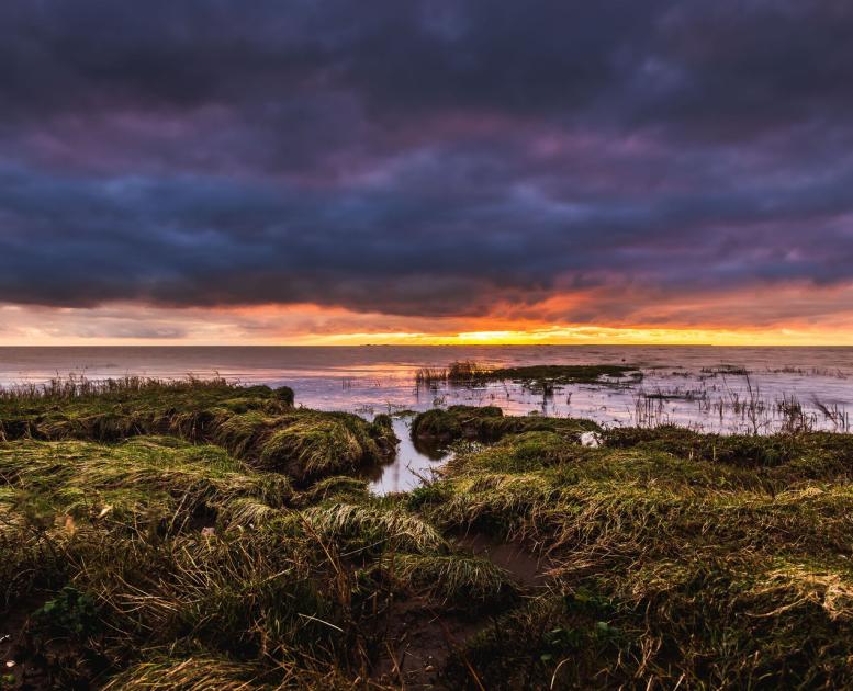 Wadden Sea island Mandø during sunset