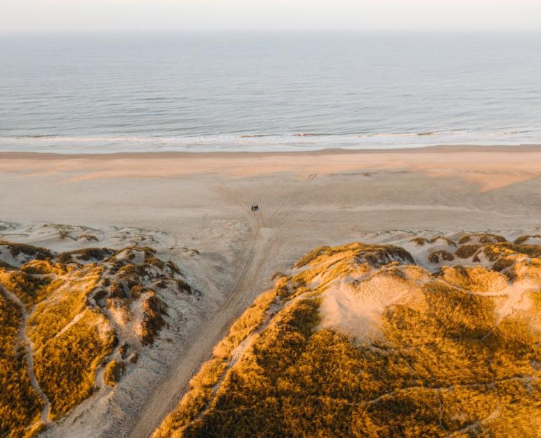 Luftfoto von Henne Strand, wo man Dünen, Strand und Meer sehen kann