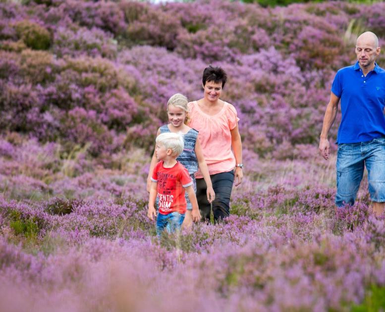 Een familie wandelt door de natuur in de omgeving van Billund