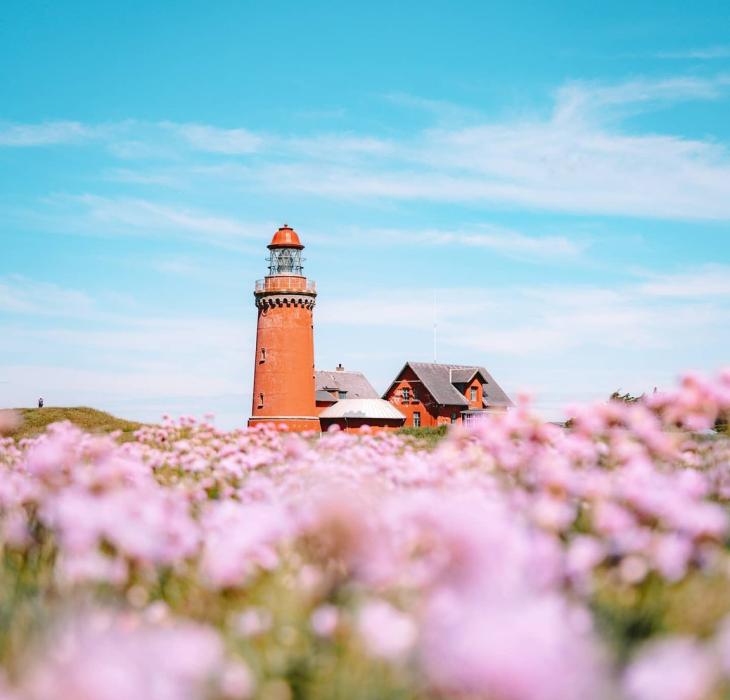 A lighthouse in a summer landscape full of flowers, bovbjergfyr, Denmark