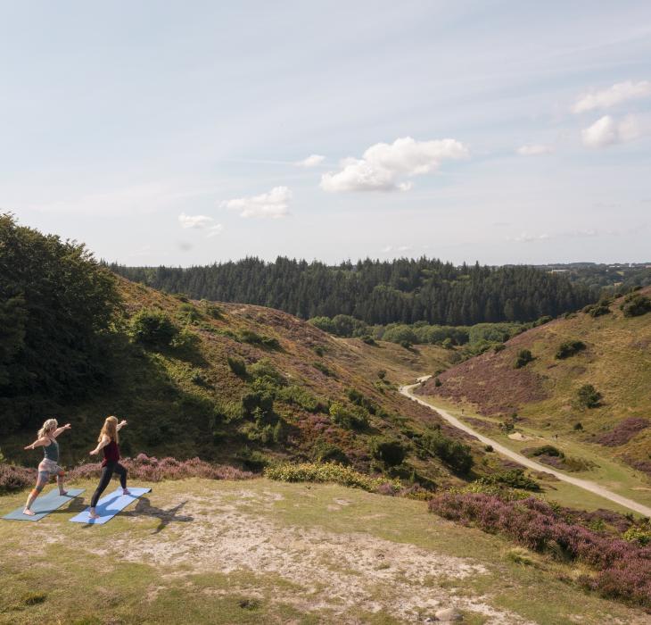 Yoga in Rebild Bakker Nationaal Park, Denemarken